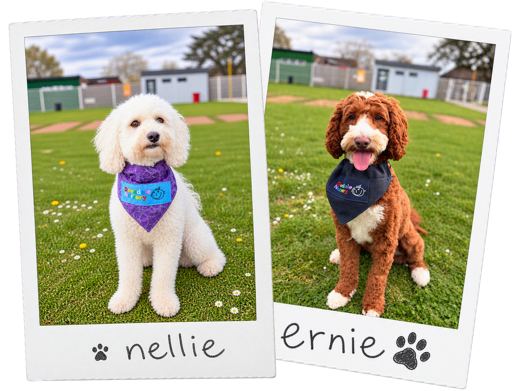 Nellie & Ernie